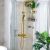 Milano Flora Gold Bath Mixer With Rain Shower Set