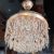 Fan Ceiling Chandelier 9348
