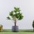 Round Plant Pot - Grey