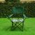 Greenwood Picnic Folding Chair - Green