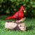 Singing Bird Solar - Red