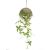 Hanging Metal With Platns - Lv-Db2106