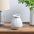 Cellena Stripe Vase White 18X18X20CM