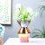 Kiyan Glass Vase Pink