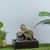 Stalaca Elephant Fountain W/Rolling Ball,Colored Light And Pump, 29X21X28Cm 7201140L