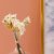 Rejoice White Narcissu Bunch Artificial Flower L36CM L22059/WH