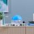 Tulip Air Revitalisor Watering Air Purifier- 1000Ml