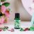 Natural Escapes Essential Oil Peppermint -15Ml