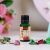 Natural Escapes Essential Oil Defense-15Ml