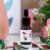 Orchid Aroma Diffuser Oil Lily & Jasmine 10Ml