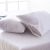 Set Of 2 Terry Pillow Protector Pillow