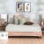 Paradise Laurel Twin Fitted Sheet 120x200 Cm Brown