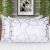 Sterling Set Of 2 Pillow Case Multi Color