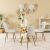 Mantra 1+4 Dining Set-White / Golden / Glass