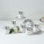 Orchid 12Pcs Rfl Istikan Set
