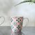 Danube Essential New Bone China Designed Mug Peach 360Ml