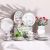 Eitens 32-Piece New Bone China Dinner Set -Serve 6