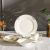 Aaron 20-Piece Fine Bone China Dinner Set -Serve 4