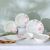 Beyonce Hibiscus 26-Piece New Bone China Dinner Set Serve-8