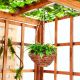 Rattan Hanging Basket With Platns -Lv-Ty049