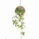 Hanging Metal With Platns - Lv-Db2106
