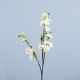 Rejoice Sakura H94Cm L15042/Crz Cream