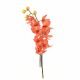 Rejoice Red Cymbidium Orchid