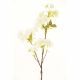Rejoice White Cherry Blossom Artificial Flower L81Cm L17339/Wh