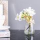 Rejoice White narcissu vase H16cm L22071/WH