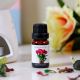 Orchid Burner Oil 10ml- Tulip