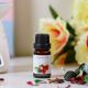 Orchid Burner Oil 10ml- Strawberry