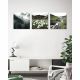 Kellan Scenery Set Of 3 Canvas L 40 x W 40 cm V01042 - V1516 - V1855