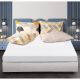 Sterling 4-Piece Printed Pillow Case 50X75 Cm Multi Color